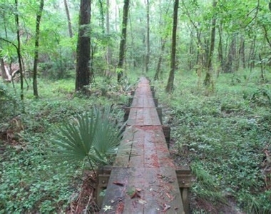 1430 Natural Pine Trail - Photo Thumbnail 34
