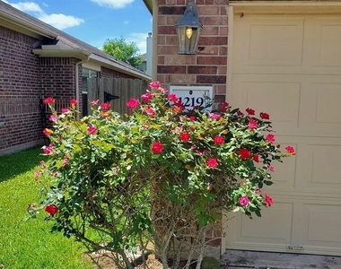 1219 Pecos Pass Drive - Photo Thumbnail 28