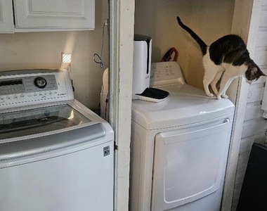 932 Walling St Street - Photo Thumbnail 16