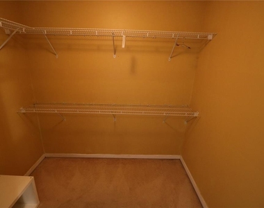 5439 Lady Bug Ln - Photo Thumbnail 40