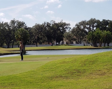2925 Terra Ceia Bay Boulevard - Photo Thumbnail 44