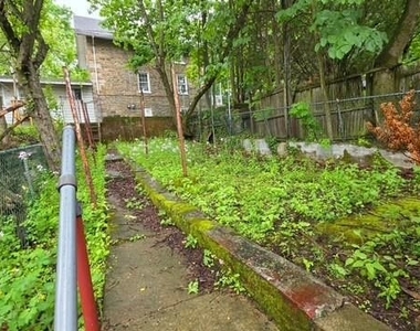 243 Pierce Street - Photo Thumbnail 7