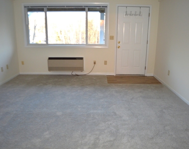 17 Kohanza Street - Photo Thumbnail 1