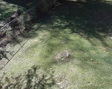 10527 Thrasher Road - Photo Thumbnail 34