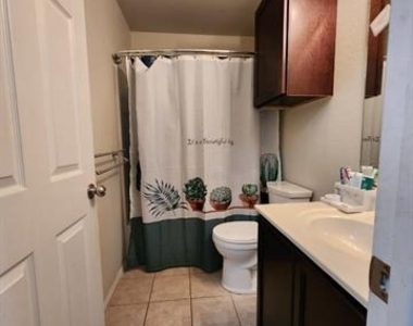 1713 Megan Creek Drive - Photo Thumbnail 17
