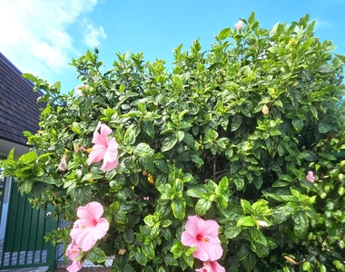 1141 Violet Terrace - Photo Thumbnail 32