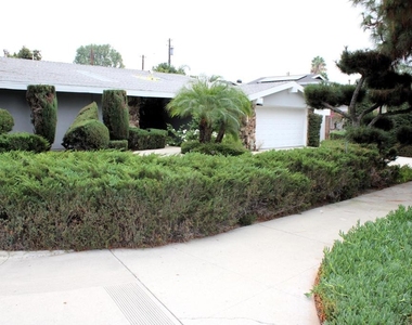 9642 Yolanda Avenue - Photo Thumbnail 3
