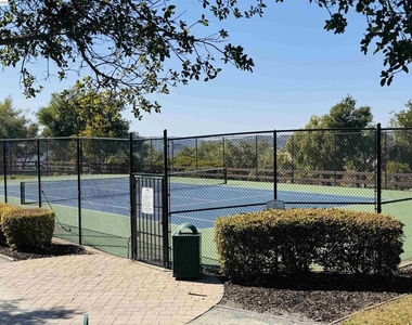 25806 Clear Springs Ct - Photo Thumbnail 25