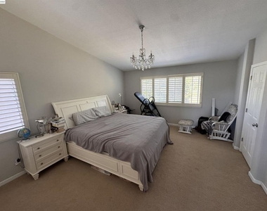 25806 Clear Springs Ct - Photo Thumbnail 13