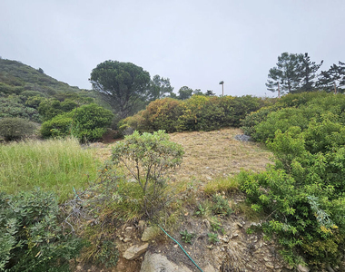 2251 Maurice Avenue - Photo Thumbnail 27