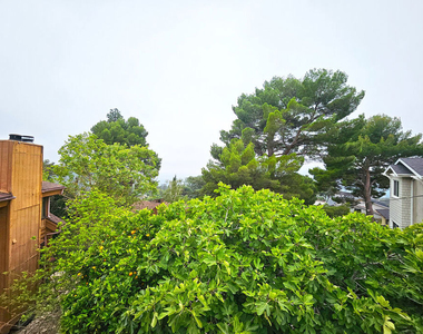 2251 Maurice Avenue - Photo Thumbnail 31