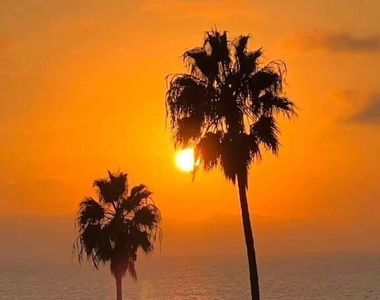 1705 Ocean Ave - Photo Thumbnail 23