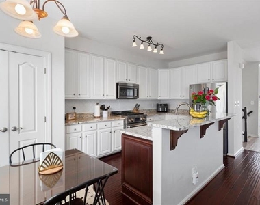 13340 Colchester Ferry Place - Photo Thumbnail 15