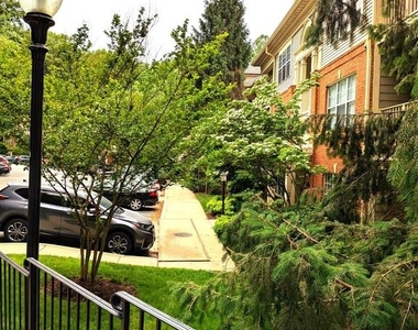109 Timberbrook Lane - Photo Thumbnail 21