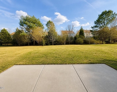 317 Euphoria Circle - Photo Thumbnail 16