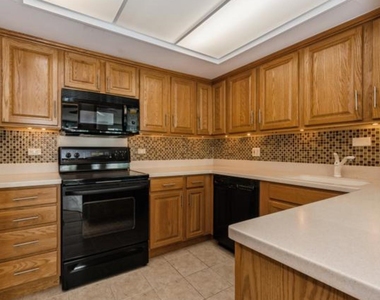 155 N Harbor Drive - Photo Thumbnail 6