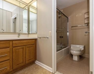 155 N Harbor Drive - Photo Thumbnail 10