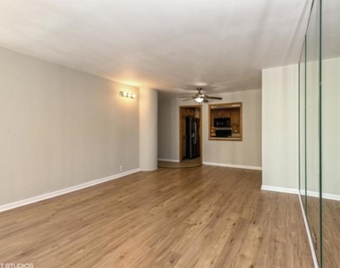 155 N Harbor Drive - Photo Thumbnail 3