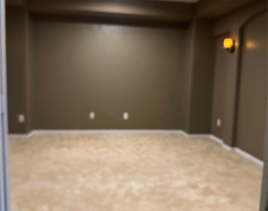 13915 Sawmill Run Lane - Photo Thumbnail 45