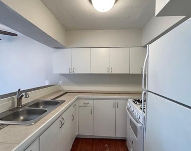 3629 N Mac Gregor Way - Photo Thumbnail 8