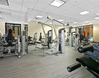 3301 Bayshore Boulevard - Photo Thumbnail 31