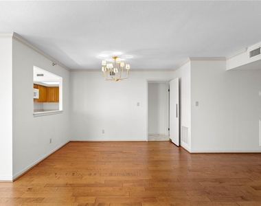 3301 Bayshore Boulevard - Photo Thumbnail 15