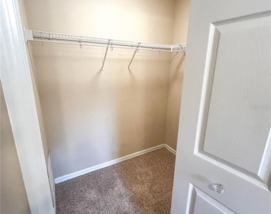 14252 Confetti Drive - Photo Thumbnail 50