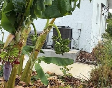 146 Boundary Boulevard - Photo Thumbnail 34