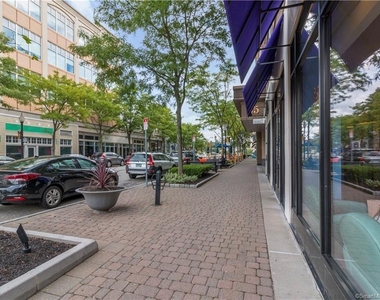15 Dinah Street - Photo Thumbnail 35