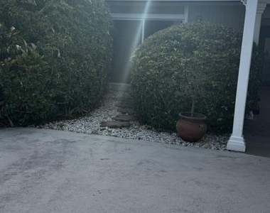 112 E Coral Fish Lane - Photo Thumbnail 60