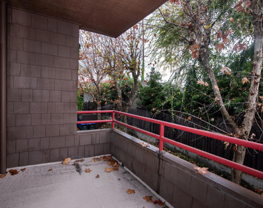 787 Magnolia Avenue - Photo Thumbnail 1