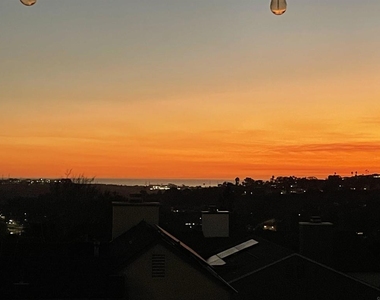 2756 Southampton - Photo Thumbnail 39