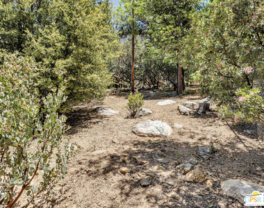 25465 Seneca Drive - Photo Thumbnail 56