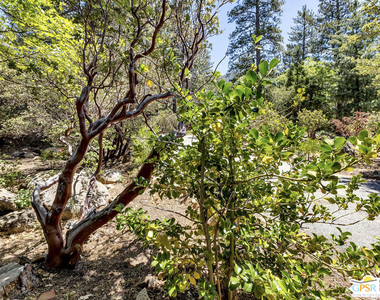 25465 Seneca Drive - Photo Thumbnail 49