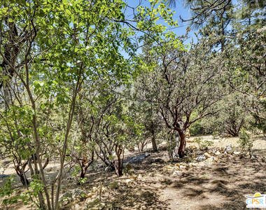 25465 Seneca Drive - Photo Thumbnail 5