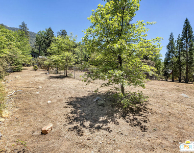 25465 Seneca Drive - Photo Thumbnail 61