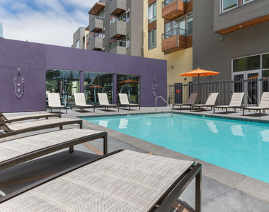 1333 Powell Street - Photo Thumbnail 34