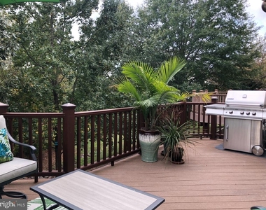47675 Loweland Terrace - Photo Thumbnail 28