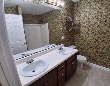 3617 Oakland Spring Court - Photo Thumbnail 20