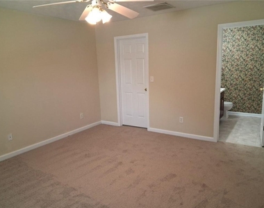 3617 Oakland Spring Court - Photo Thumbnail 18