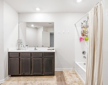 10619 Lost Maples Drive - Photo Thumbnail 18
