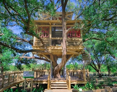 11430 Gossamer Wing Lane - Photo Thumbnail 26