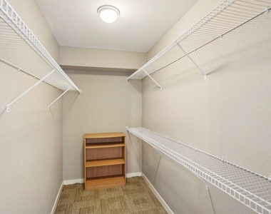 4641 Wild Indigo Street - Photo Thumbnail 5
