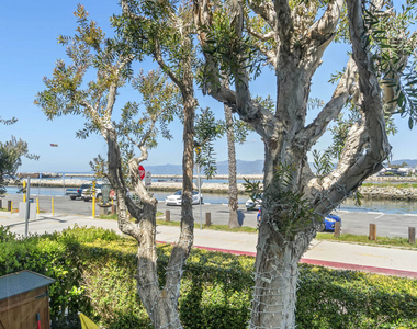 6209 Pacific Avenue - Photo Thumbnail 38