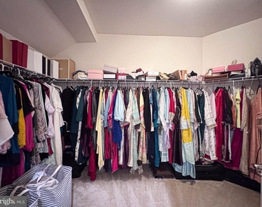 41523 Cross Canter Drive - Photo Thumbnail 47