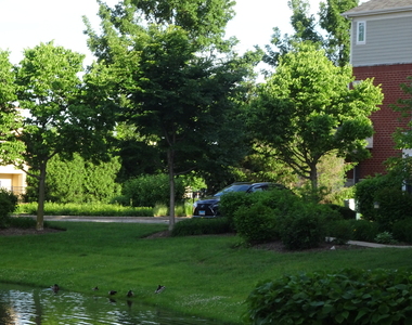 219 W Hyde Street - Photo Thumbnail 1