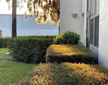 103 Palmetto Court - Photo Thumbnail 33