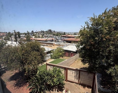 8016 Lemon - Photo Thumbnail 14