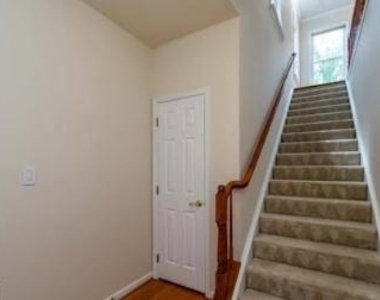4647 Red Admiral Way - Photo Thumbnail 43