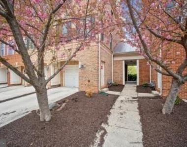 4647 Red Admiral Way - Photo Thumbnail 45